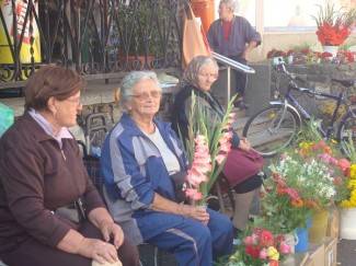 Subotnja šetnja gradom: Požega 30.7.2011.