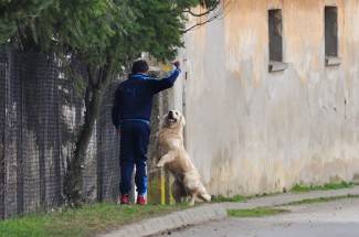 Subotnja šetnja: Kutjevo, 9.3.2013.