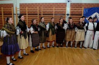 Brestovac: Humanitarni koncert za Anu Kakuk