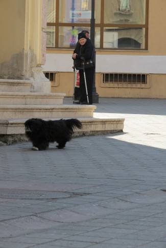 Subotnja šetnja gradom: Požega, 16.3.2013.