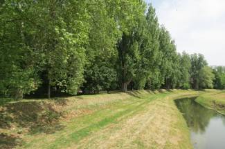 Subotnja šetnja gradom: Požega, 4.5.2013.