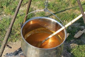 Pleternica: Fišijada 2013.