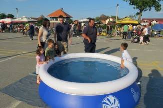 Pleternica: Fišijada 2013.