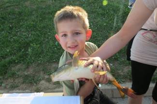 Pleternica: Fišijada 2013.