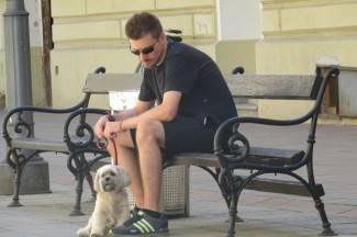 Šetnja gradom: Požega, 31.7.2013.