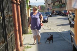 Šetnja gradom: Požega, 13.8.2013.