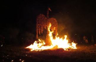 Pleternica: Aerofest, 17.8.2013.