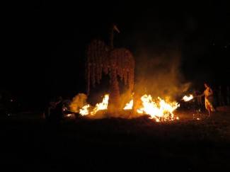 Pleternica: Aerofest, 17.8.2013.