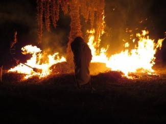 Pleternica: Aerofest, 17.8.2013.