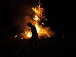 Pleternica: Aerofest, 17.8.2013.