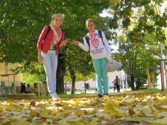 Šetnja gradom: Požega, 15.10.2013.