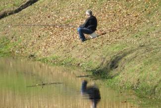 Šetnja gradom: Požega, 22.10.2013.
