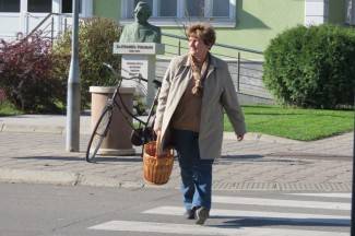 Subotnja šetnja gradom: Pleternica, 9.11.2013.