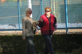 Subotnja šetnja gradom: Pleternica, 9.11.2013.