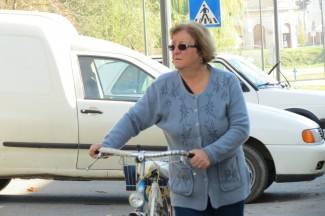 Subotnja šetnja gradom: Pleternica, 9.11.2013.