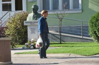 Subotnja šetnja gradom: Pleternica, 9.11.2013.