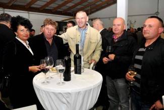 Martinje u podrumima Enjingija, Galića i obitelji Vuković