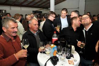 Martinje u podrumima Enjingija, Galića i obitelji Vuković