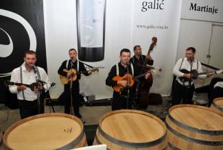 Martinje u podrumima Enjingija, Galića i obitelji Vuković