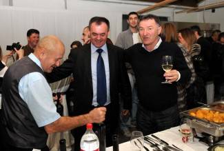 Martinje u podrumima Enjingija, Galića i obitelji Vuković