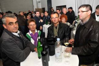 Martinje u podrumima Enjingija, Galića i obitelji Vuković