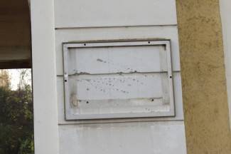 Vukovar: Požežani u Koloni sjećanja