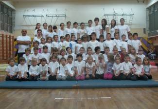 Gimnastičko društvo Pleter, Pleternica