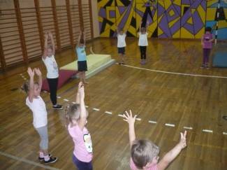 Gimnastičko društvo Pleter, Pleternica