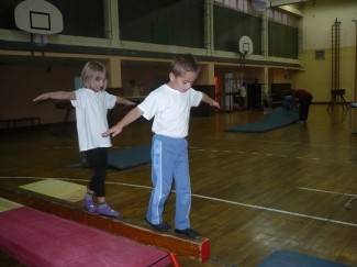 Gimnastičko društvo Pleter, Pleternica