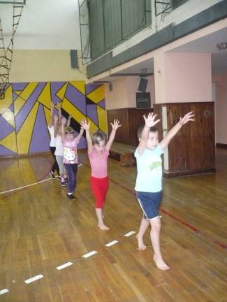 Gimnastičko društvo Pleter, Pleternica