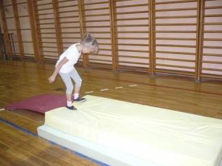 Gimnastičko društvo Pleter, Pleternica