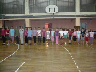 Gimnastičko društvo Pleter, Pleternica