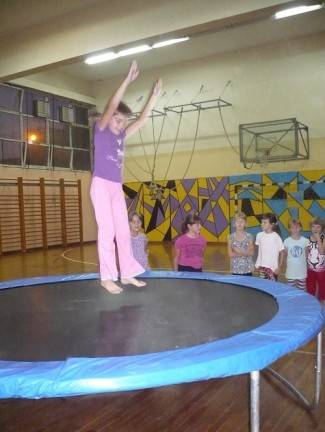 Gimnastičko društvo Pleter, Pleternica