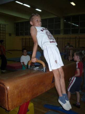 Gimnastičko društvo Pleter, Pleternica