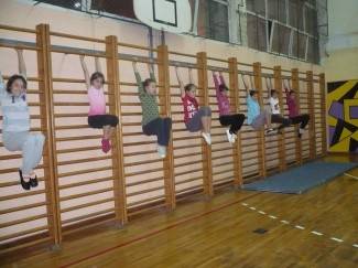 Gimnastičko društvo Pleter, Pleternica