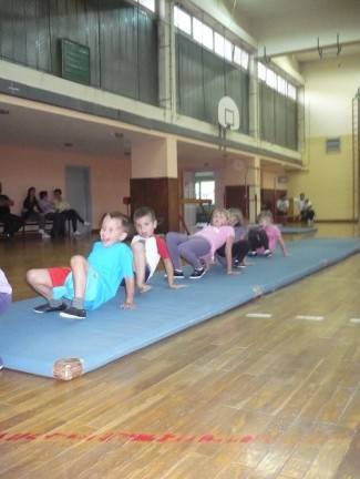 Gimnastičko društvo Pleter, Pleternica