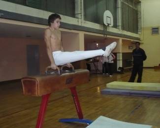 Gimnastičko društvo Pleter, Pleternica