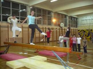 Gimnastičko društvo Pleter, Pleternica