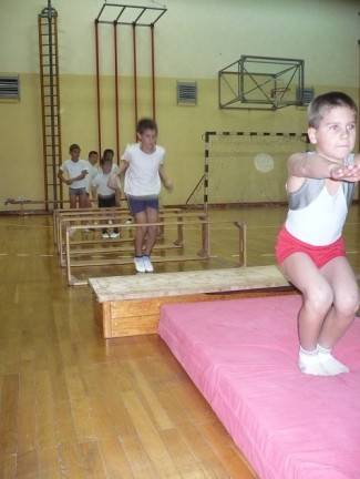 Gimnastičko društvo Pleter, Pleternica