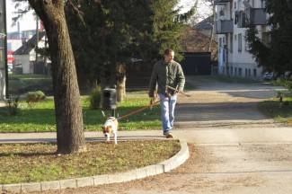 Jesenska šetnja gradom: Požega, 4.12.2013.