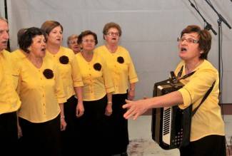 Dan općine Jakšić