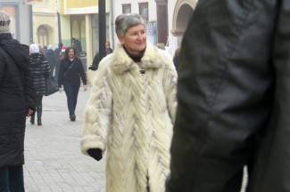 Subotnja šetnja: Požega, Pakrac i Lipik, 14.12.2013.