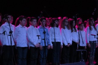 Humanitarni koncert: Bisernica i prijatelji napunili Grabrik