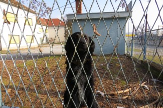 Subotnja šetnja Pleternicom, Pakracom i Lipikom