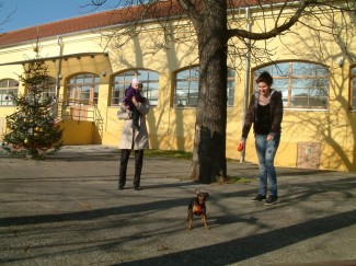 Subotnja šetnja Pleternicom, Pakracom i Lipikom