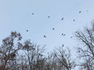 Sunčan siječanjski dan: Šetnja Požegom, Pleternicom i Pakracom