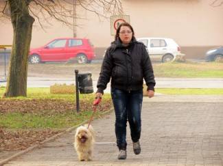 Sunčan siječanjski dan: Šetnja Požegom, Pleternicom i Pakracom