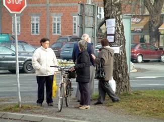 Sunčan siječanjski dan: Šetnja Požegom, Pleternicom i Pakracom