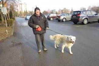 Subotnja šetnja gradom: Požega, 11.1.2014.