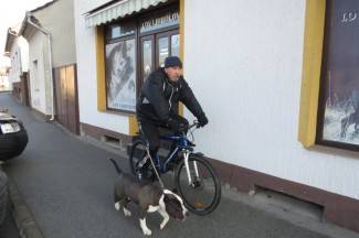 Subotnja šetnja gradom: Požega, 11.1.2014.